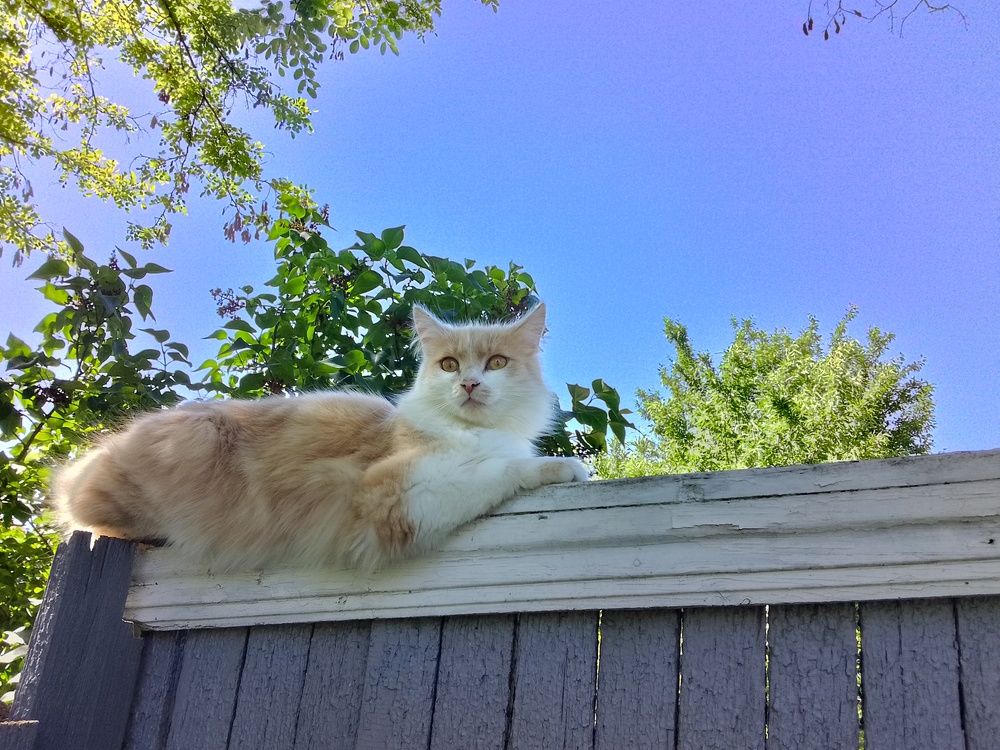 Photograph by Ксения Звонникова