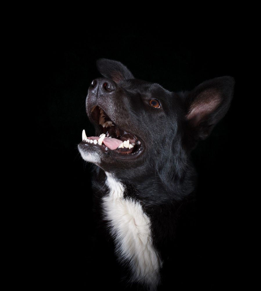 Photograph by Червяков Григорий