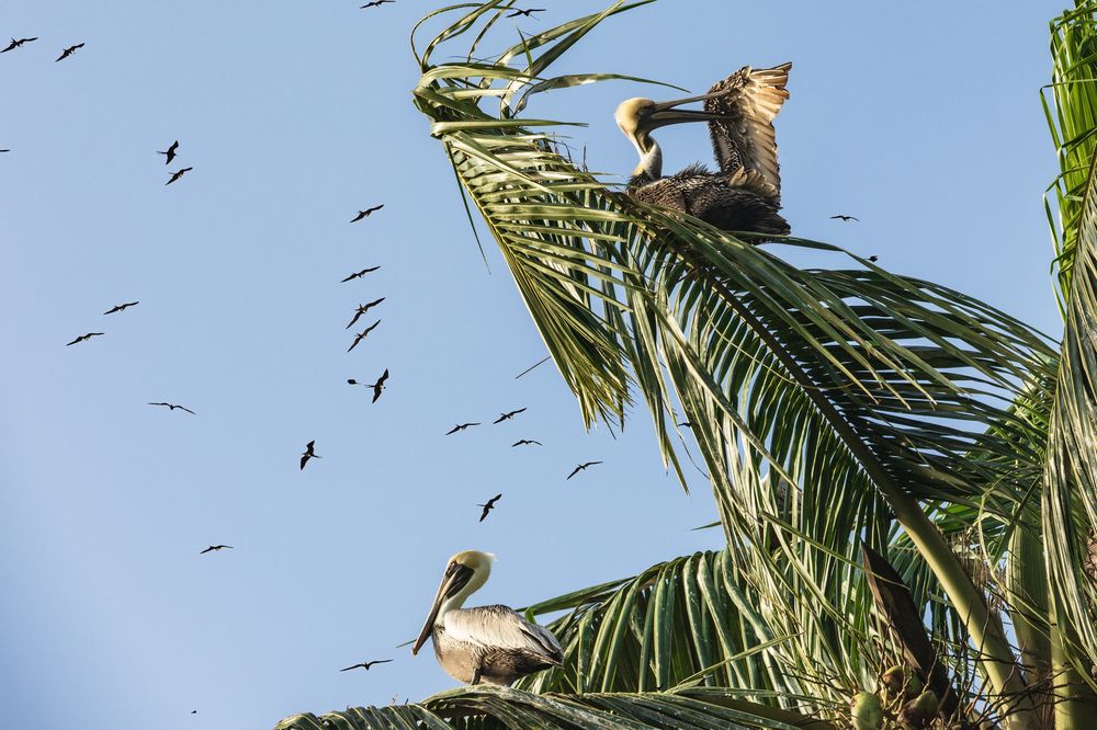 Photograph by klara Neikov