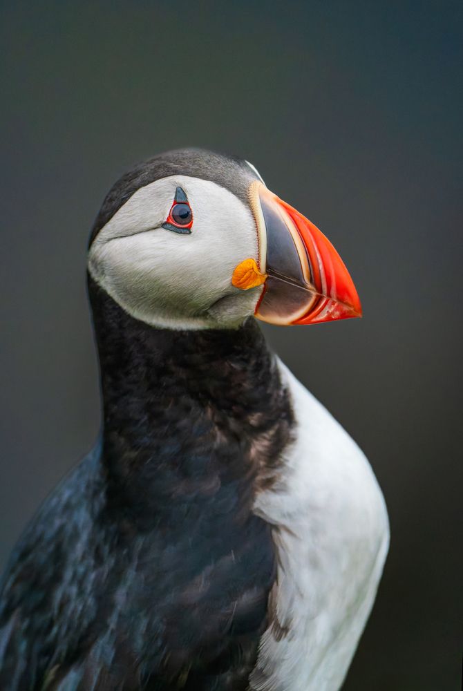 Фотография автора Piotr Mickevic