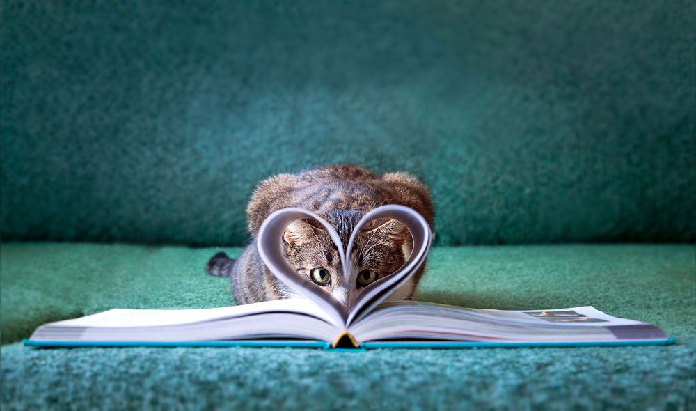 Photograph by Владимир Ходаковский