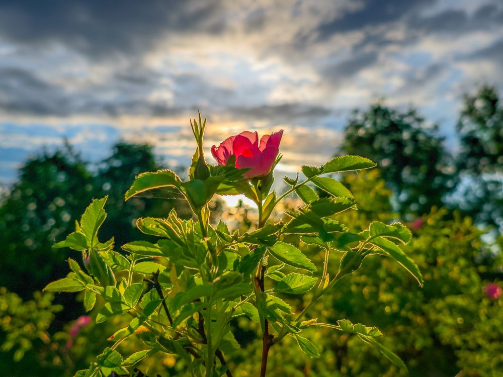 Photograph by Кирилл Сидоров