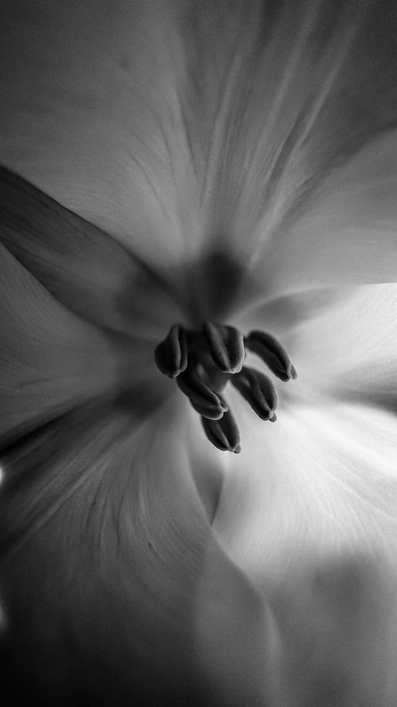 Photograph by Алёна Мозжухина