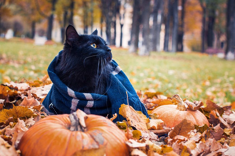 Photograph by Алина Стемковская