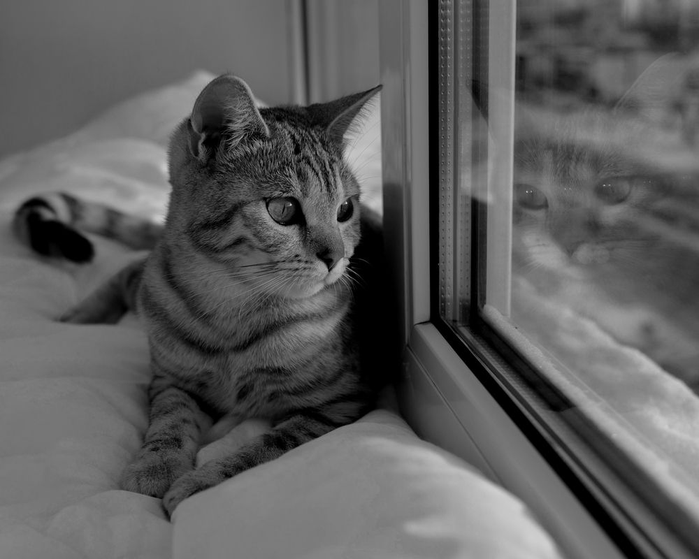 Photograph by Юлия Аксенчук