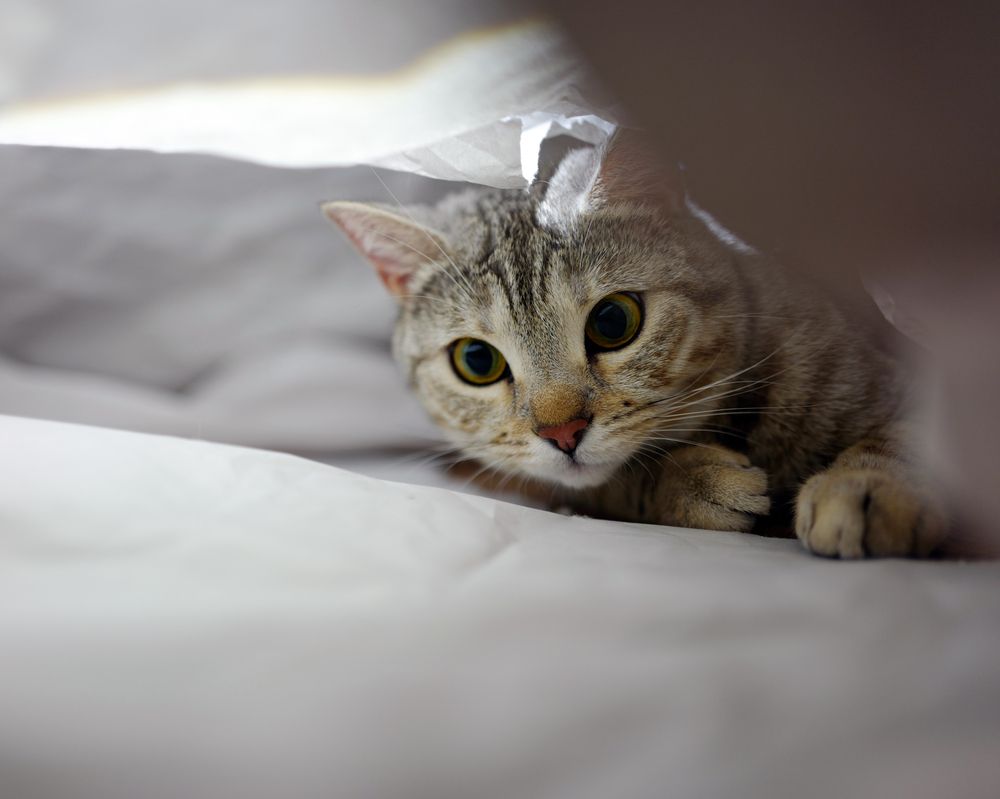 Photograph by Юлия Аксенчук