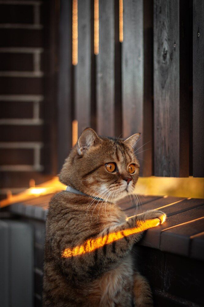 Photograph by Елена