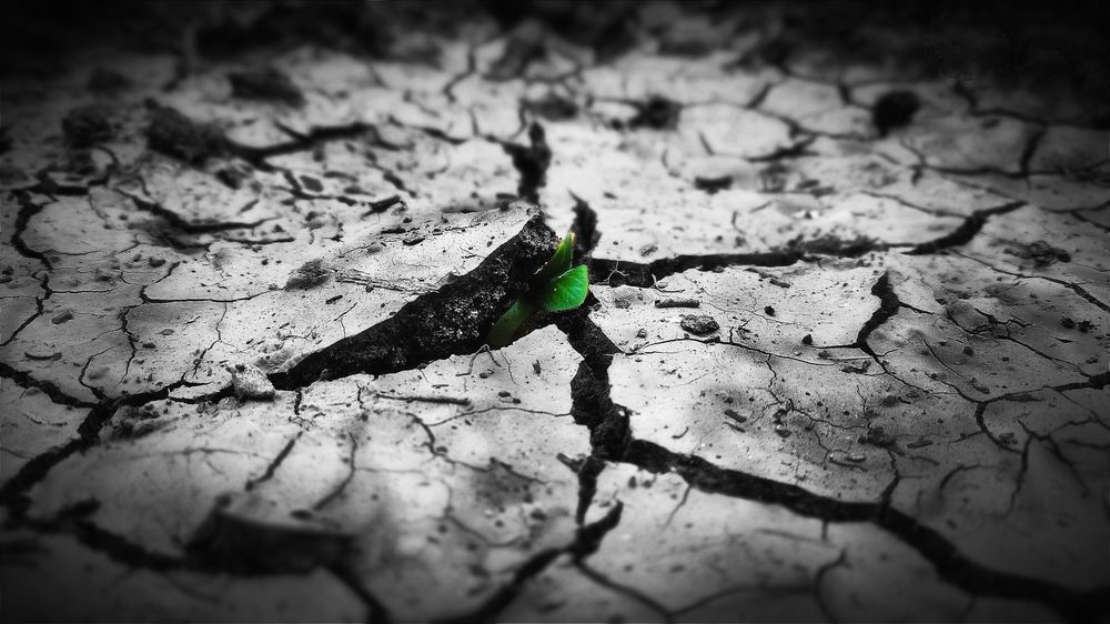 Photograph by Олеся Белова