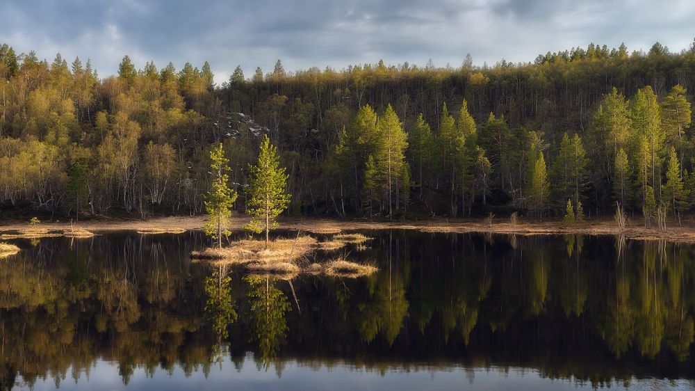 Вечер Полярного Дня