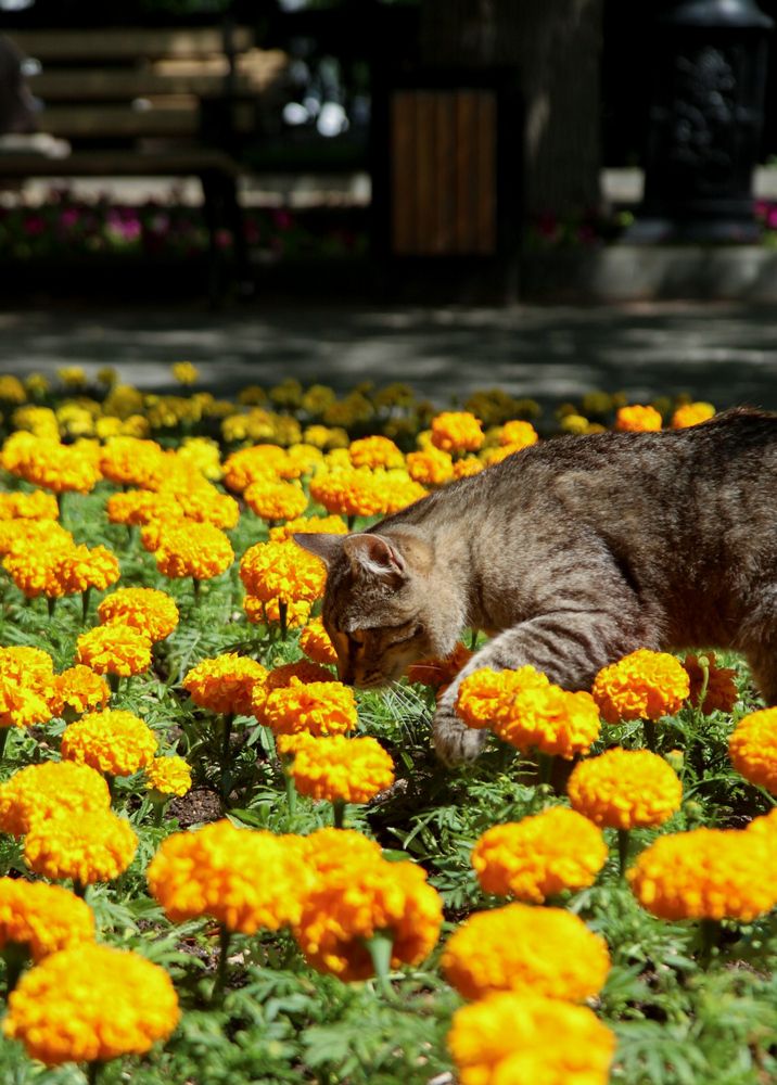 Photograph by Денис