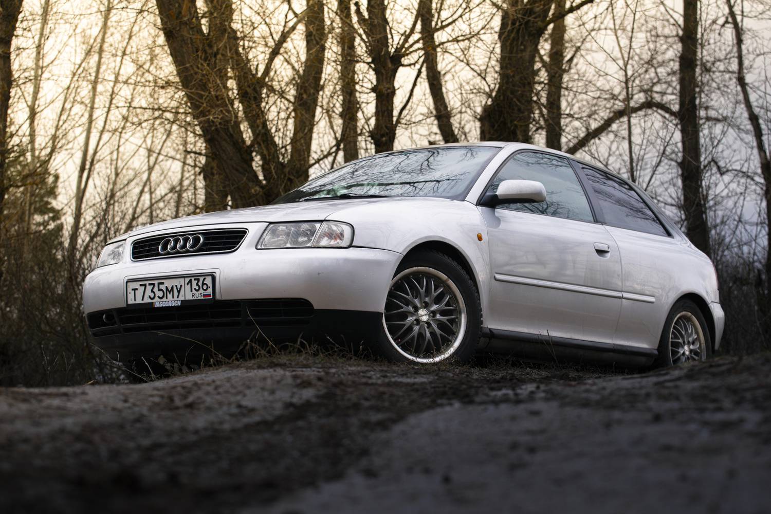 Photo #12247679