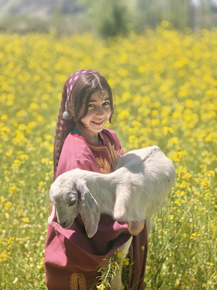 Village Whispers and Lamb Hugs