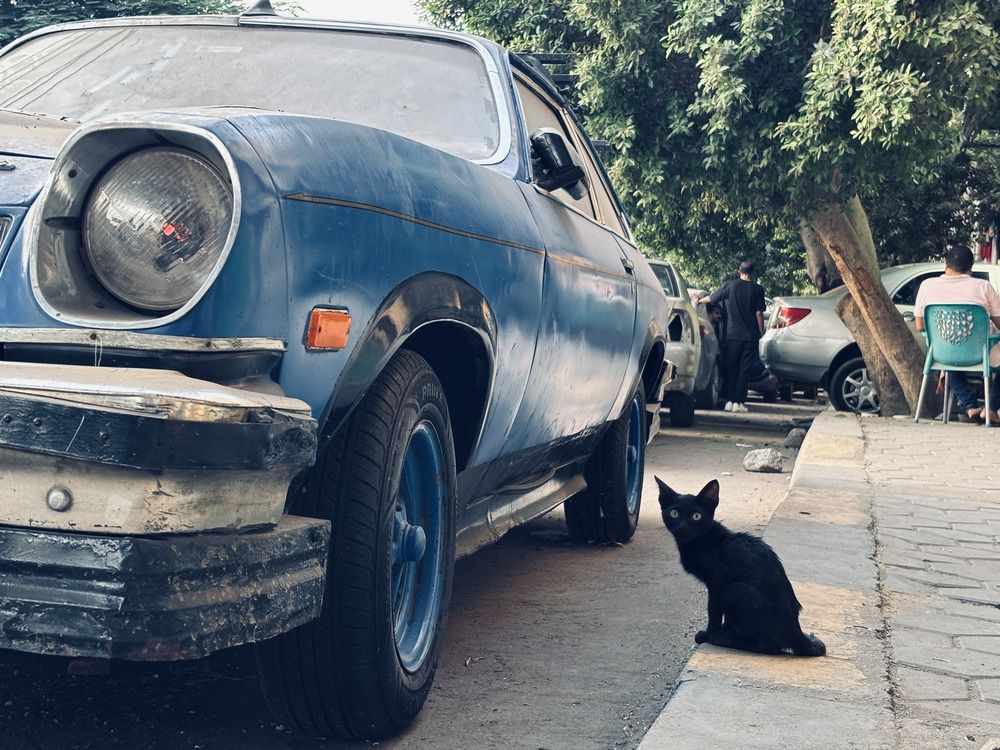 Photograph by Moamen Khaled