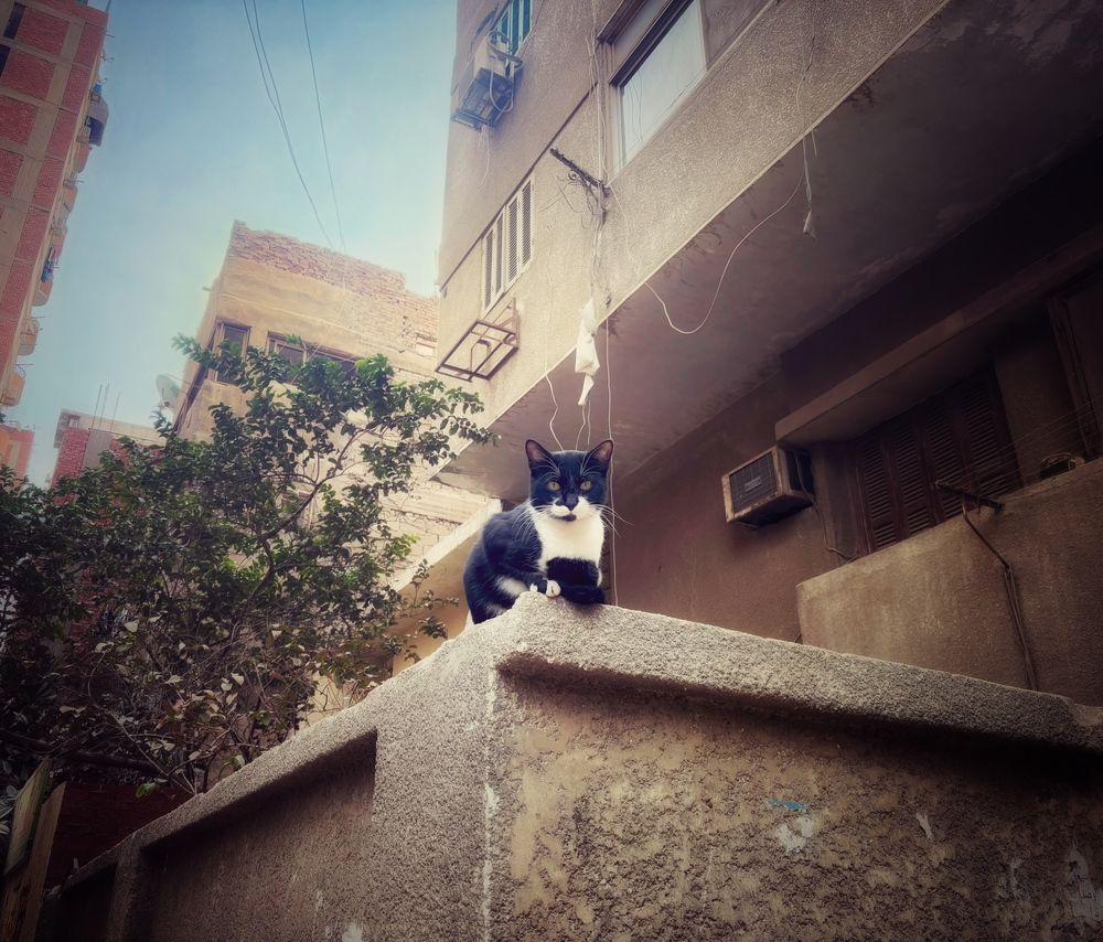 Photograph by Moamen Khaled