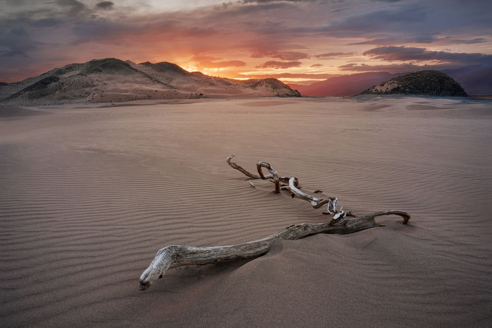 Photograph by Александр Нерозя