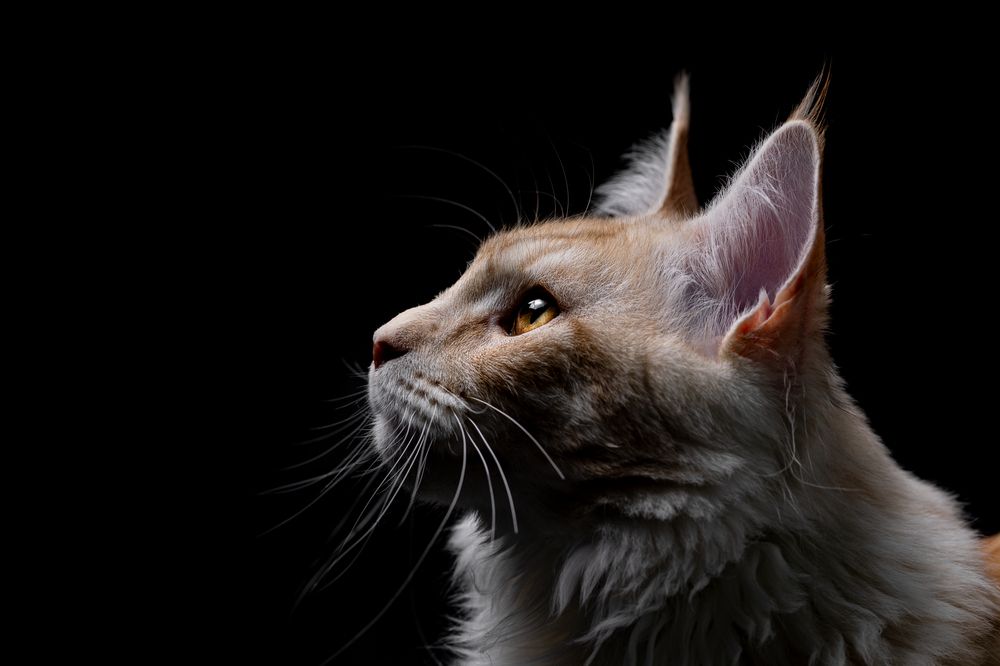 Photograph by Daniela Schmid