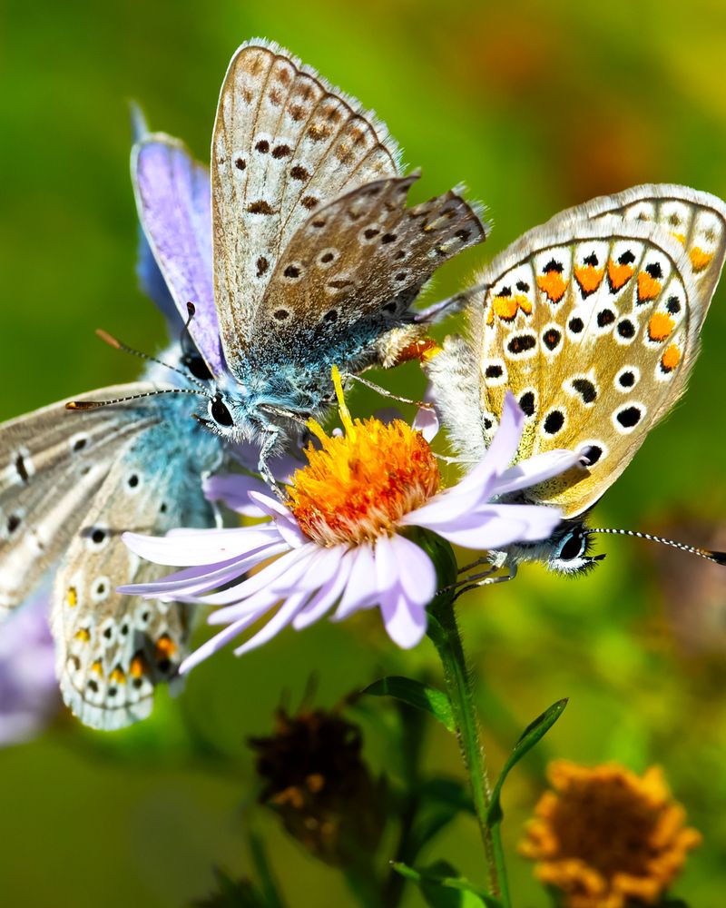 Photograph by Алексей Мартынов