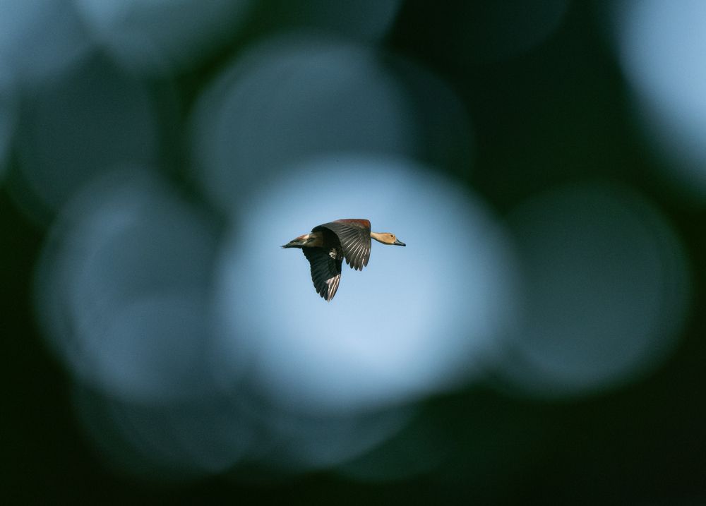 Photograph by Rushan Perera