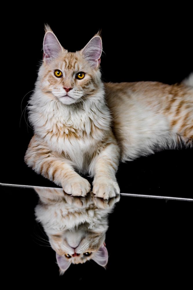 Photograph by Daniela Schmid