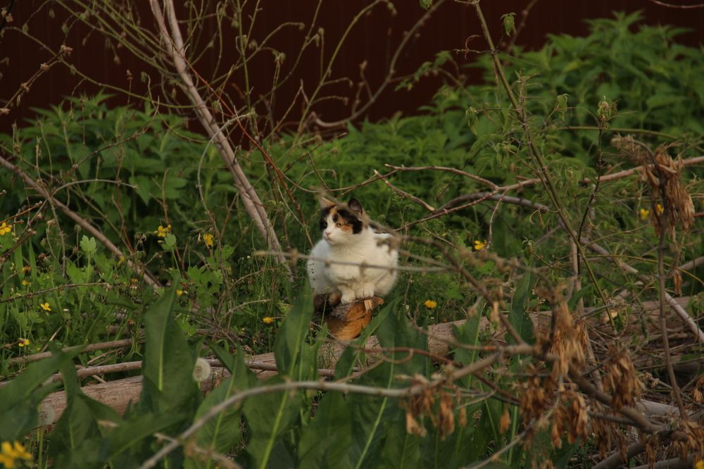 Photograph by Екатерина Филатова