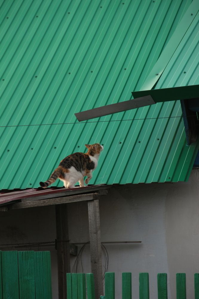 Photograph by Екатерина Филатова