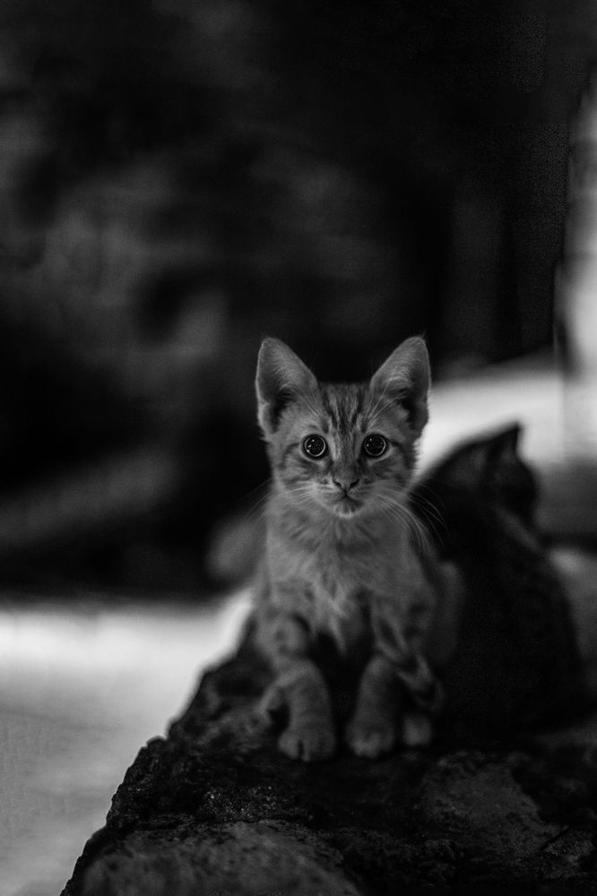 Photograph by Игорь Толкачев