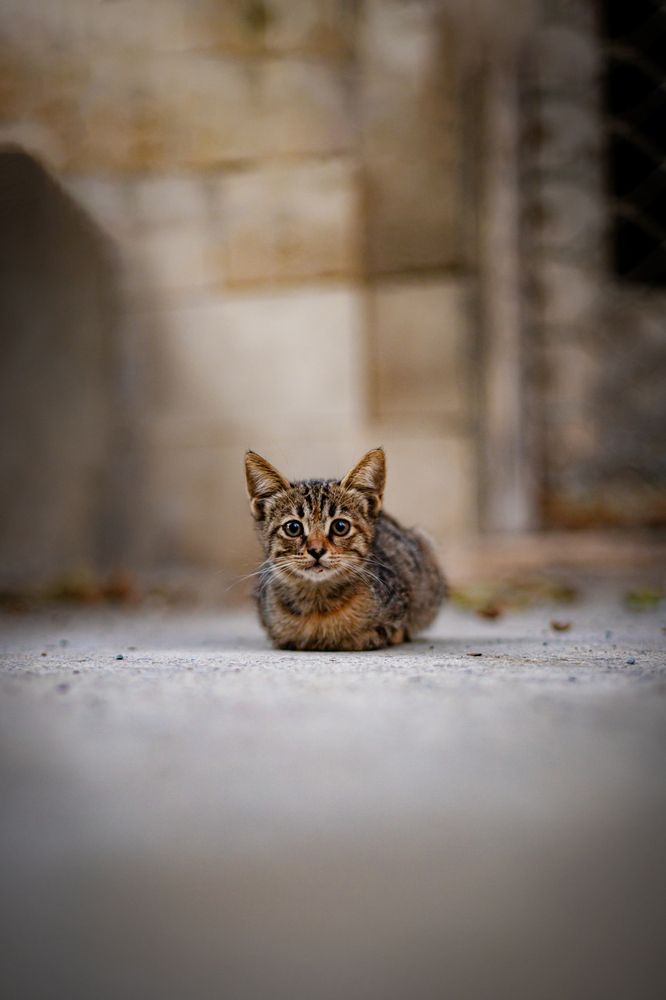 Photograph by Игорь Толкачев