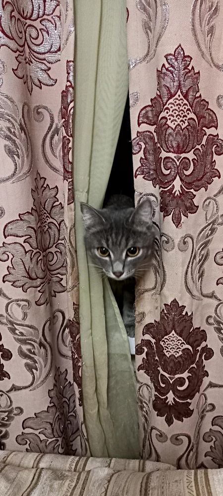 Photograph by Елена Савчук