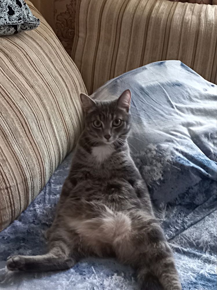 Photograph by Елена Савчук