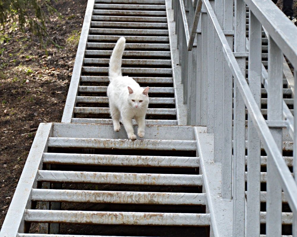 Photograph by Елена Савчук