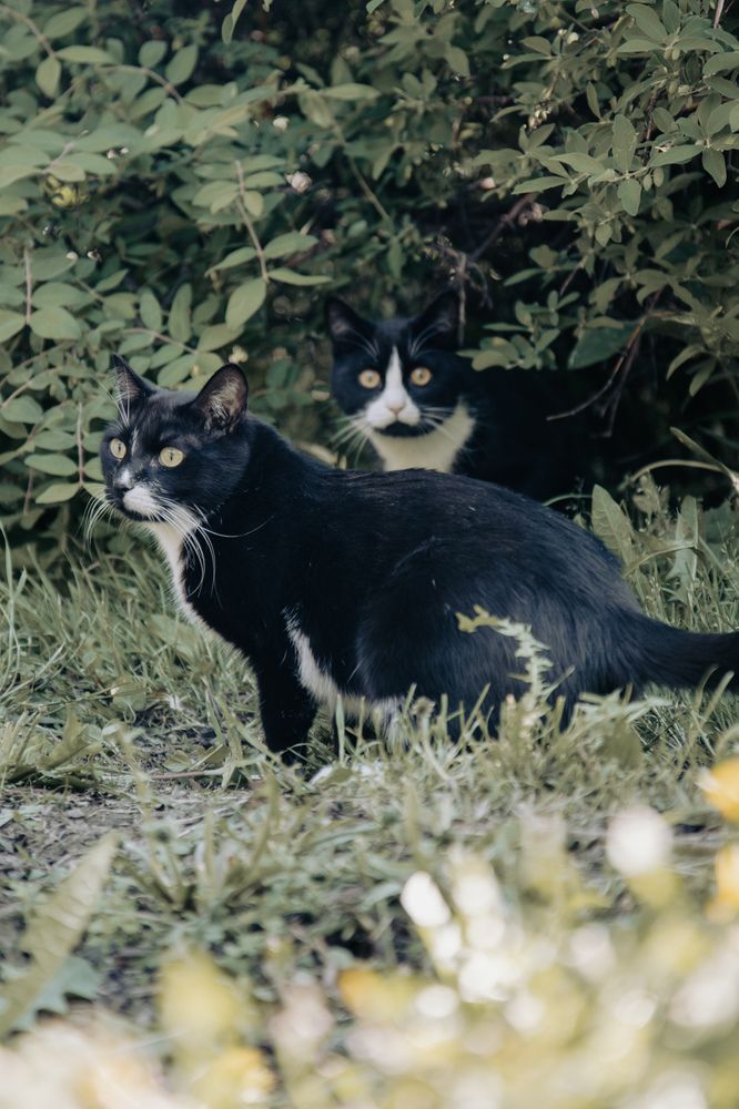 Photograph by Владимир Пилюков