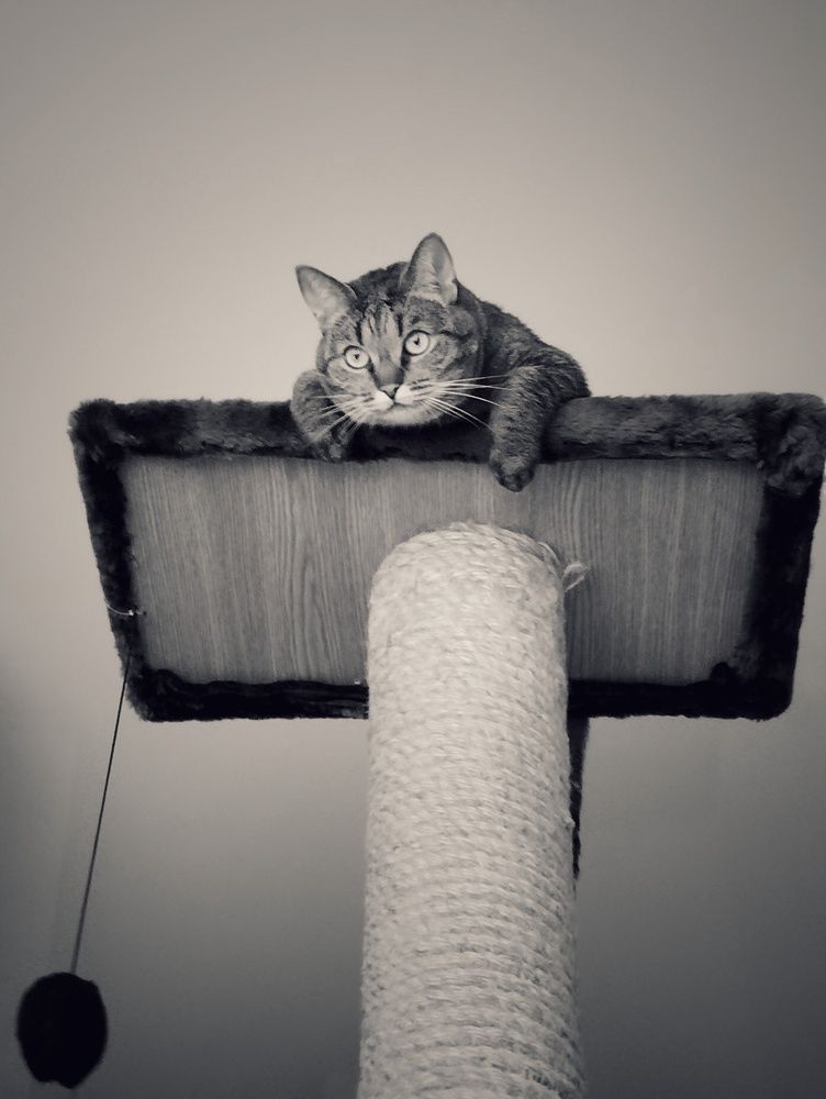 Photograph by Ия Дирко