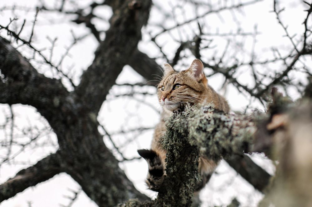 Photograph by Ольга Маковеева