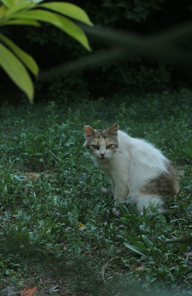 Photograph by Денис