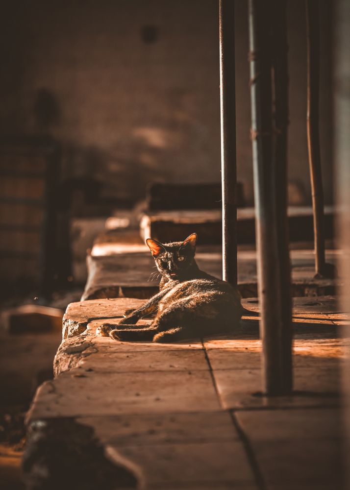 Photograph by Jamal Uddin