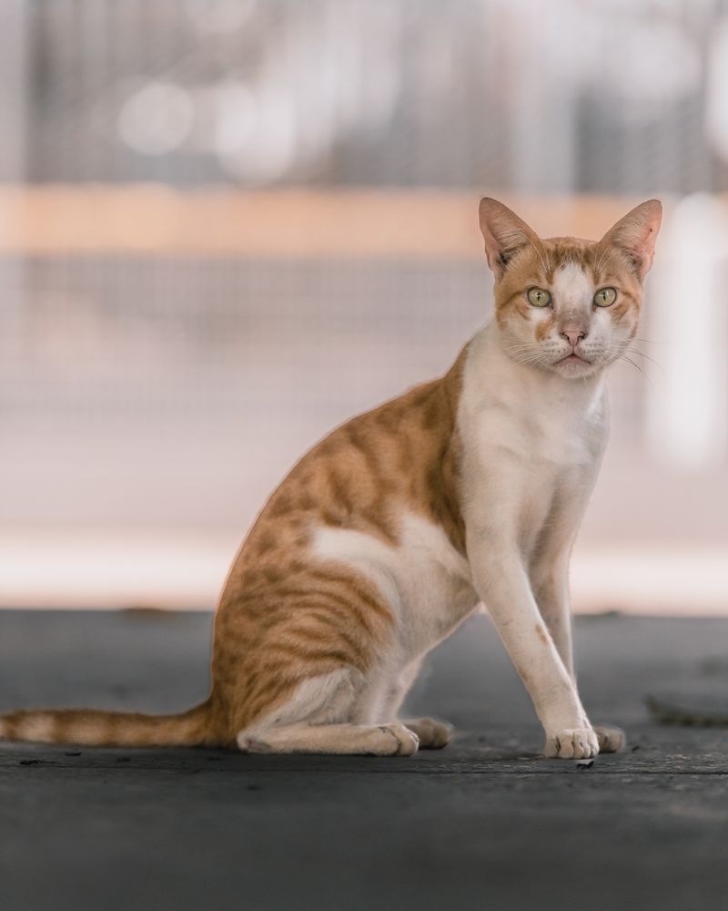 Photograph by Jamal Uddin