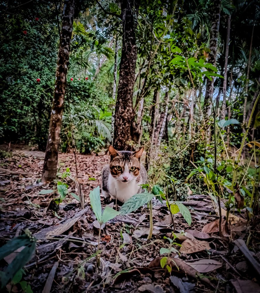 Photograph by SHRIYAKSHI