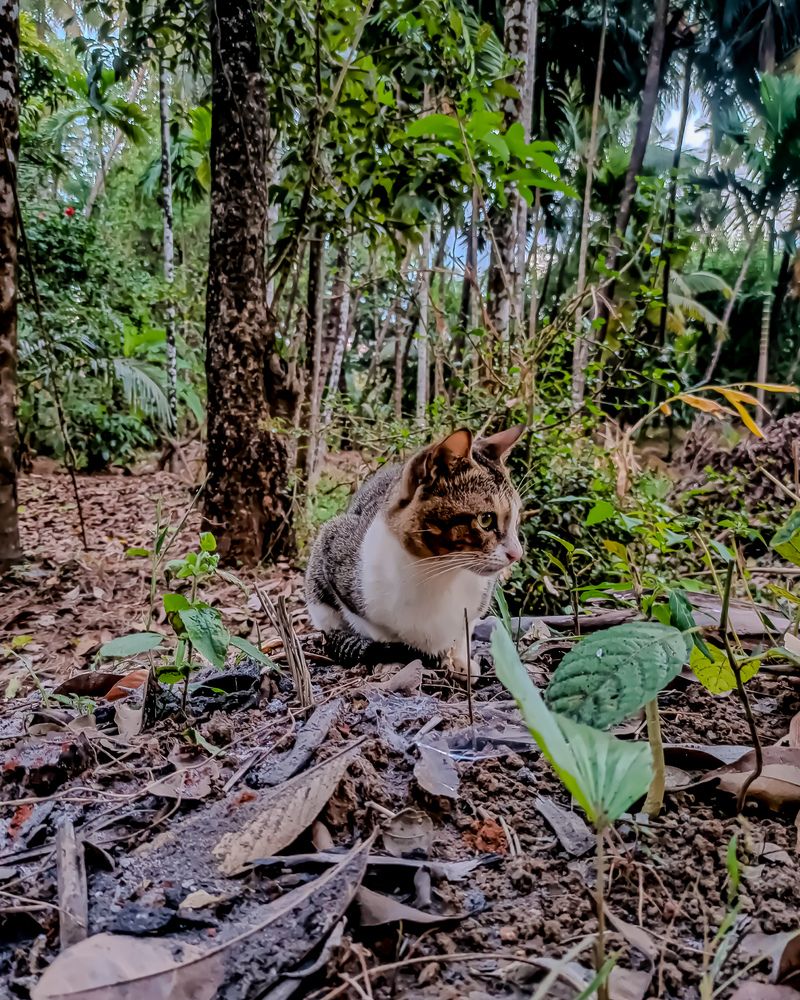 Photograph by SHRIYAKSHI