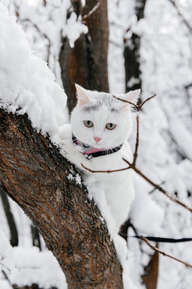 Photograph by Мария Раздорова