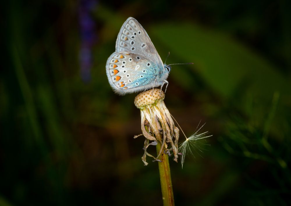 Photograph by Николай Xxxxxx