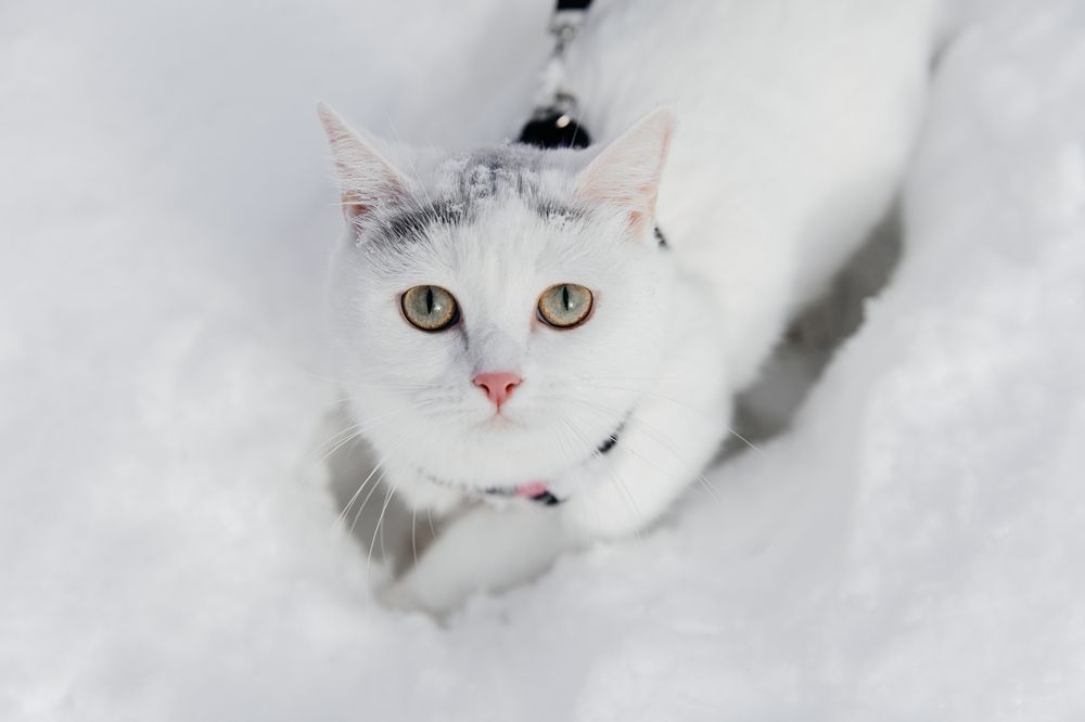 Photograph by Мария Раздорова