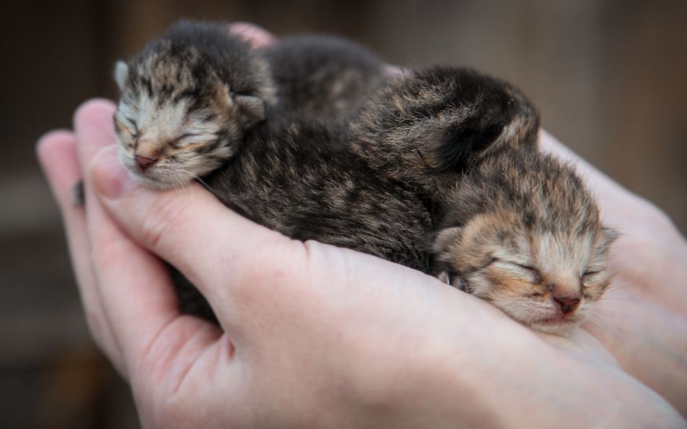 Photograph by Наталия Викторовна