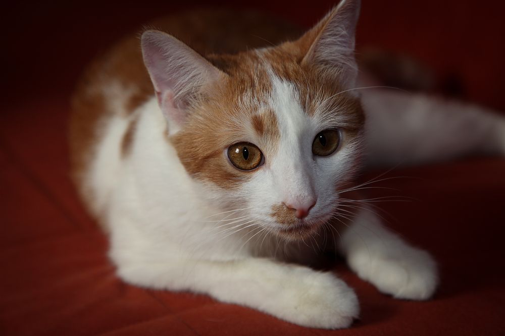 Photograph by Наталия Викторовна