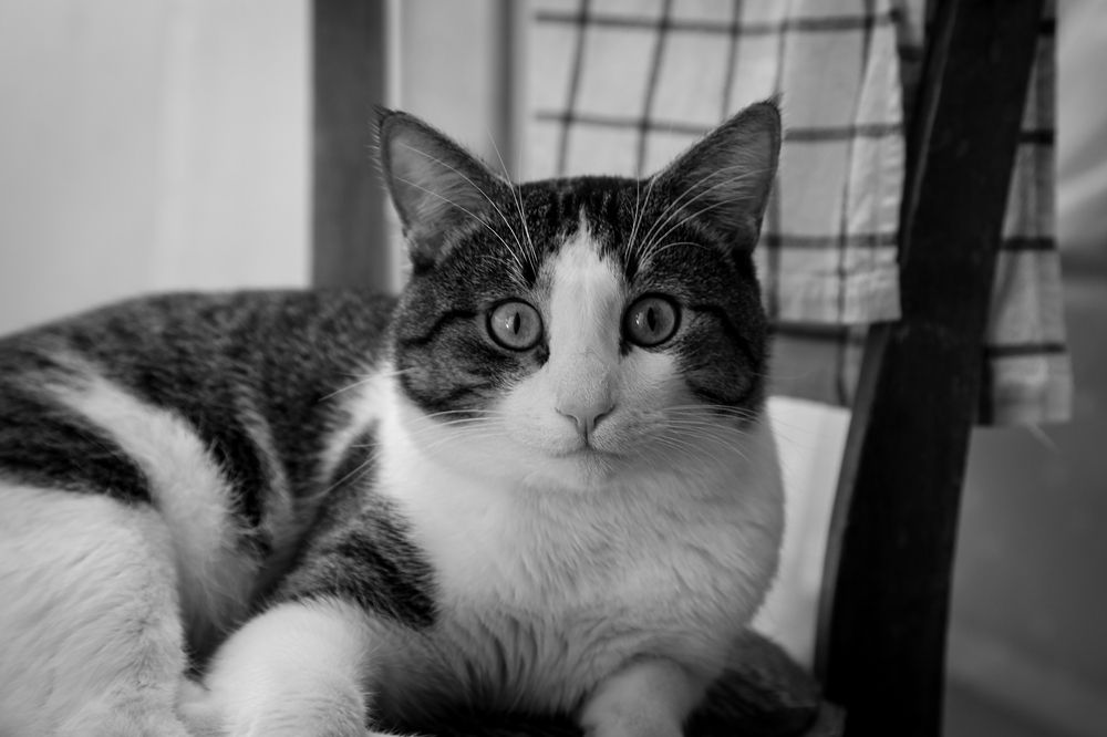 Photograph by Наталия Викторовна