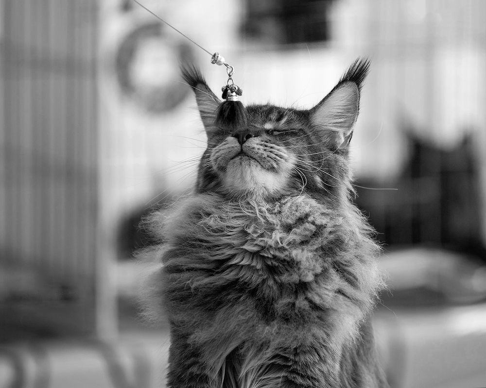 Photograph by Виктория Сафонова