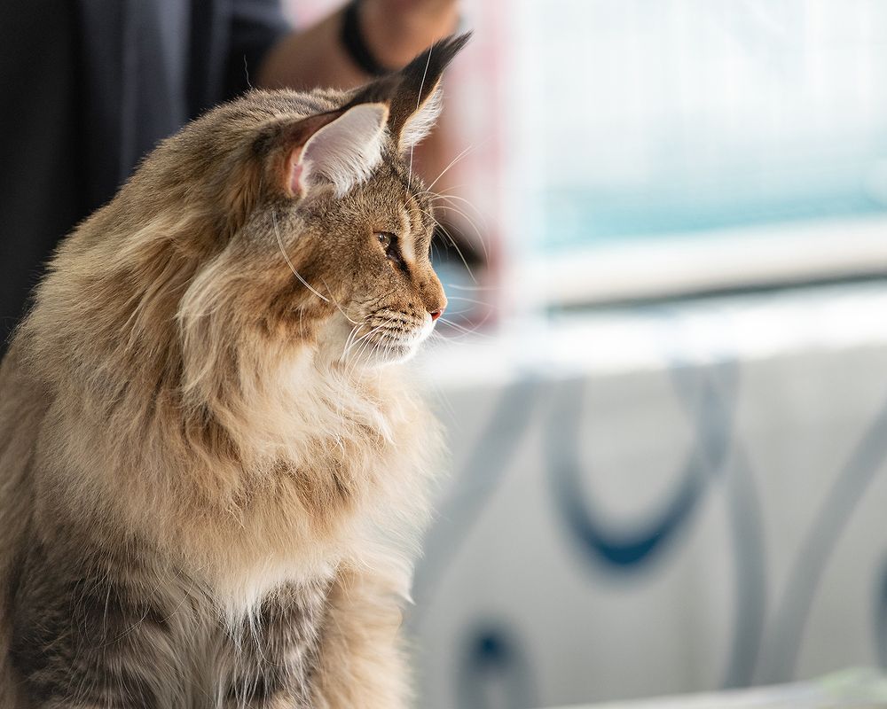 Photograph by Виктория Сафонова