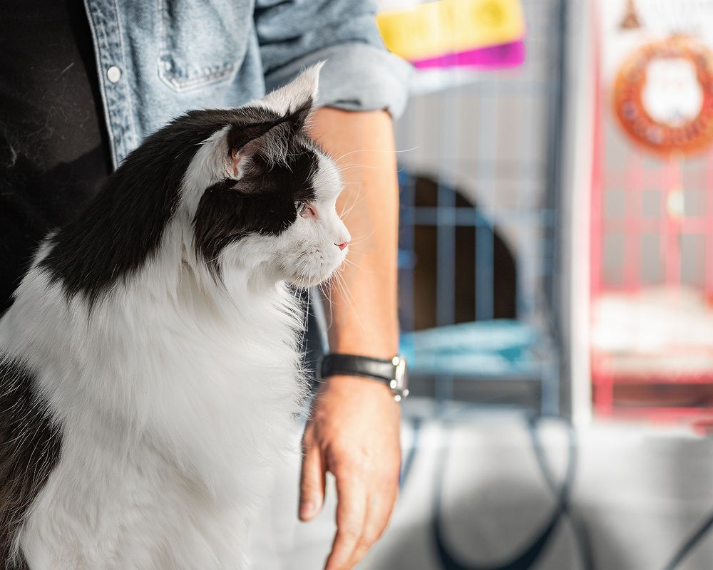 Photograph by Виктория Сафонова