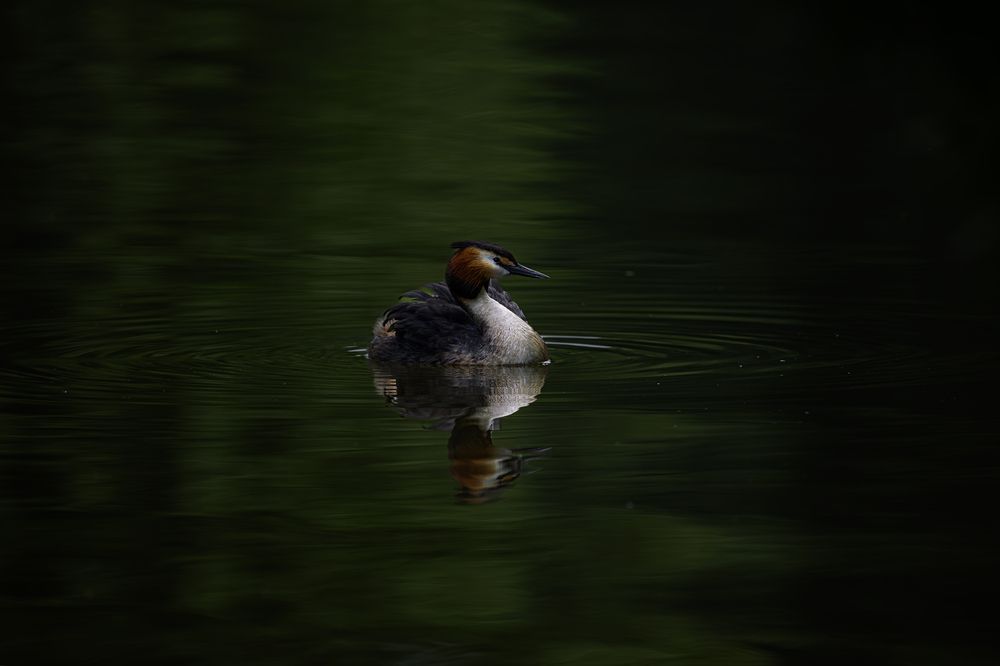 Photograph by Мария Ирешева