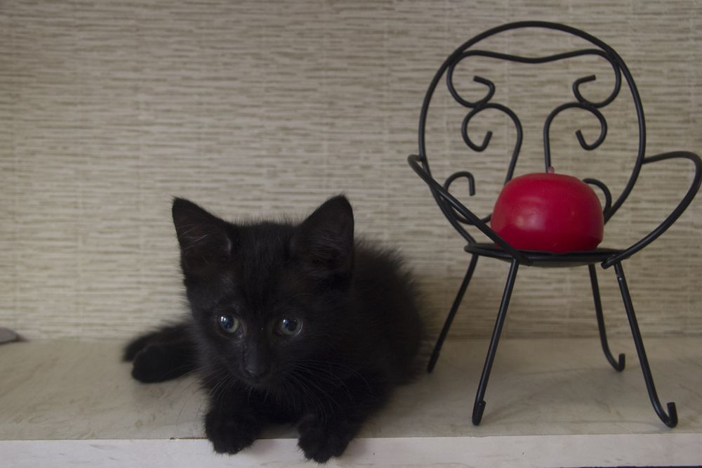 Photograph by Mark Kolbin