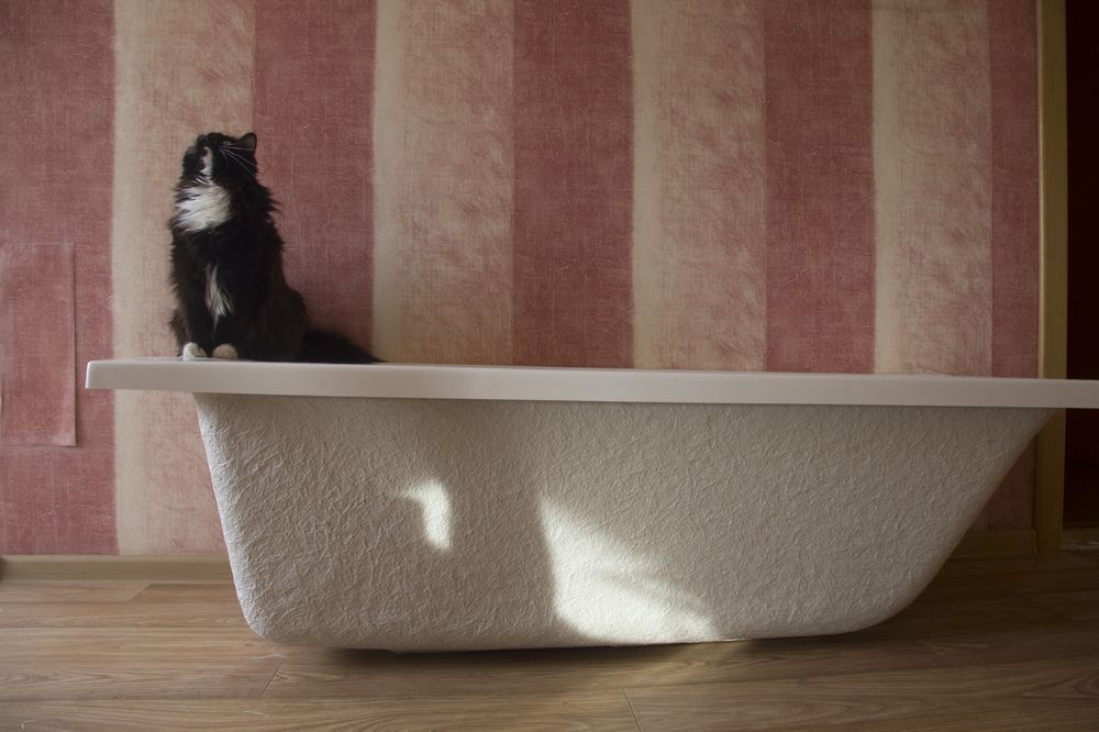 Photograph by Mark Kolbin